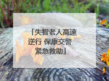 失智老人高速逆行 保康交警紧急救助
